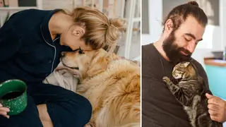 People prefer cuddling their pets than their partners, study finds
