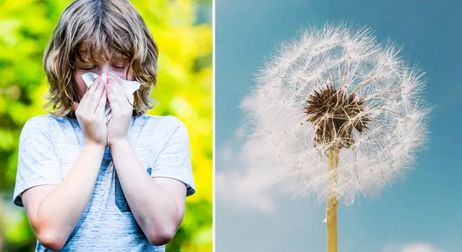 Hay fever suffers have been warned about 'Thunder fever'