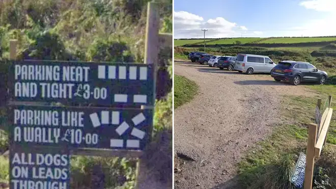 A man is charging people to 'park like a wally'