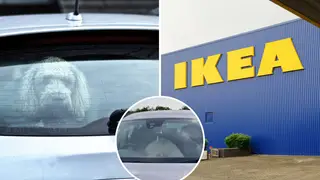 Dog locked inside car outside Ikea in 29C rescued by police [Right and left: Stock Images]