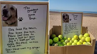 A heartbroken dog owner left the box of tennis balls in honour of her Labrador, Rex.
