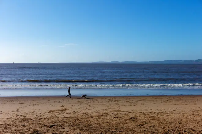 Rex loved running around on Exmouth beach in Devon.