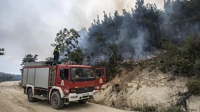 Un camión de bomberos combatiendo un incendio en las afueras de un bosque