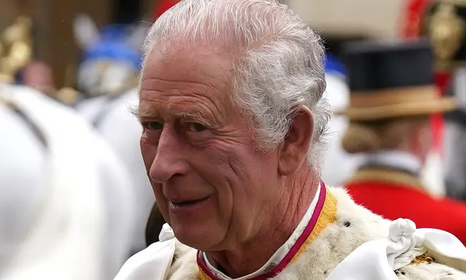 King Charles smirking while wearing his royal regalia