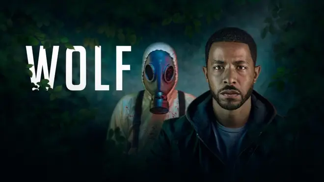 The BBC series Wolf is an adaptation of the Mo Hayder series of novels