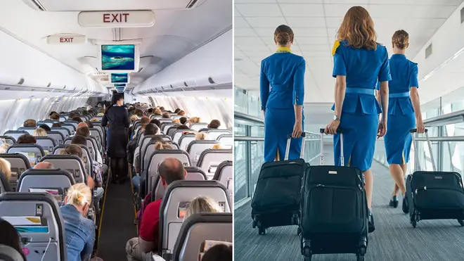 A flight attendant has revealed the secret code word that reveals if they fancy you.