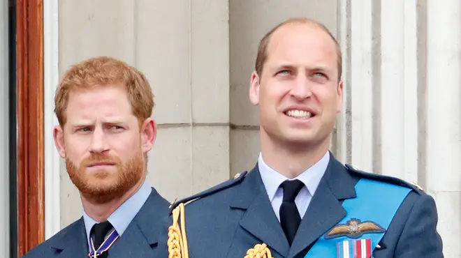 Prince Harry revealed the term "spare" was often used to refer to him within his own family.