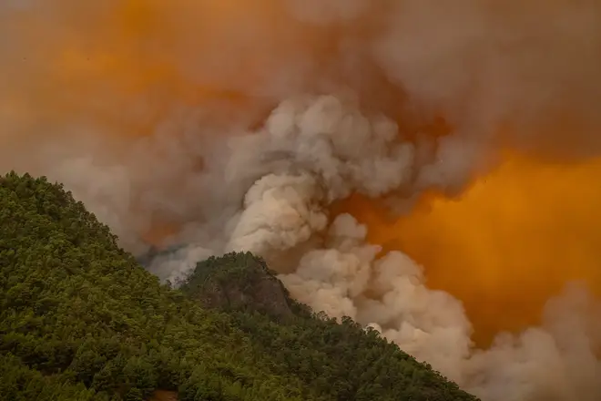 Wildfires in Tenerife have taken over the island