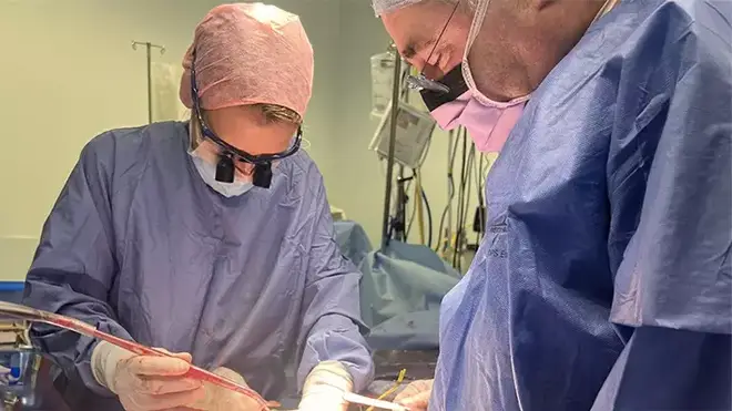 Gynaecological surgeon Professor Richard Smith and transplant surgeon Isabel Quiroga hard at work.