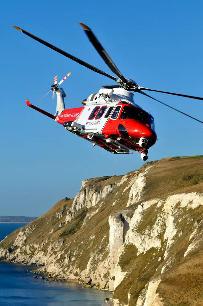 UK coastguards have been involved in a number of dog rescues this summer.