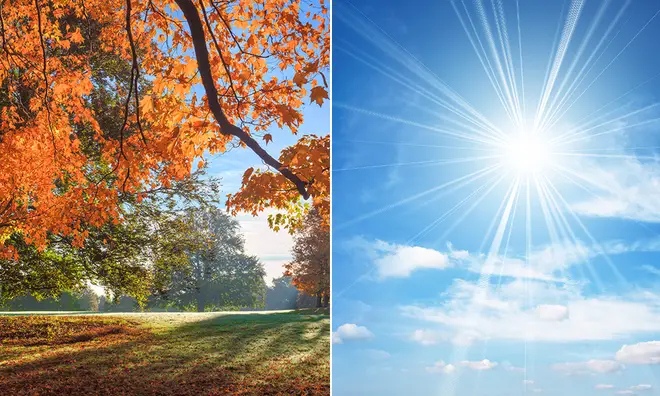 Autumnal park image of browning leaves alongside bright sunshine and blue skies