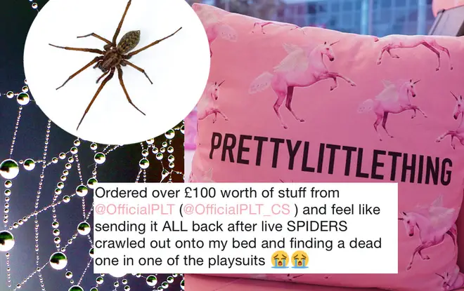 PLT shopper Georgia was horrified to find the spiders in her order