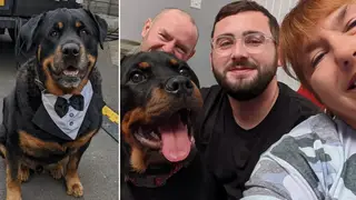 Gogglebox family The Malones announce death of beloved dog Dave