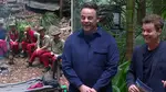 When do they start voting people off I'm A Celebrity?