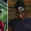 Where is Nella Rose and has she left I'm A Celebrity?