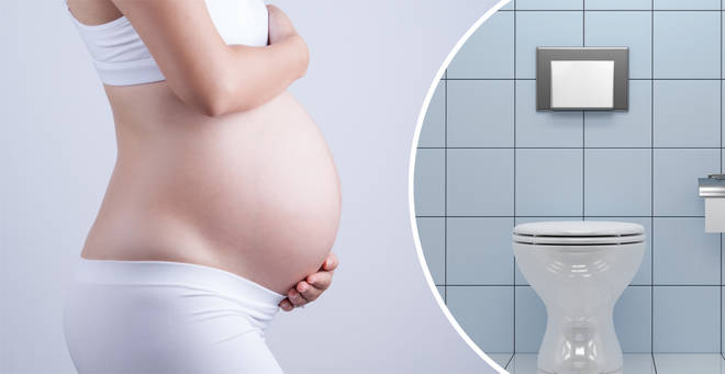 The bizarre reason why pregnancy could be turning your toilet seat blue (stock images)