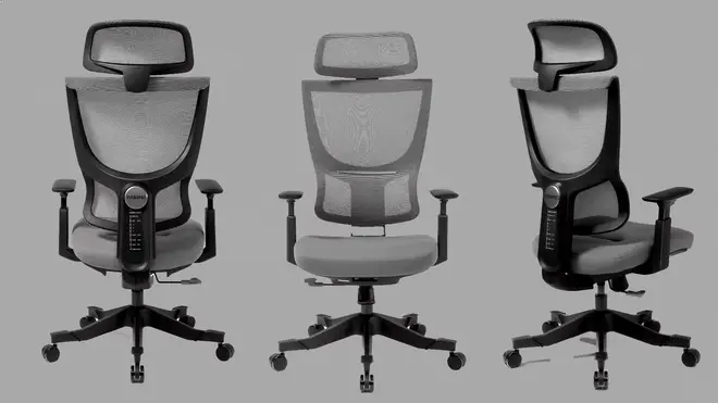The Flexi-Chair Ergonomic Office Chair BS8