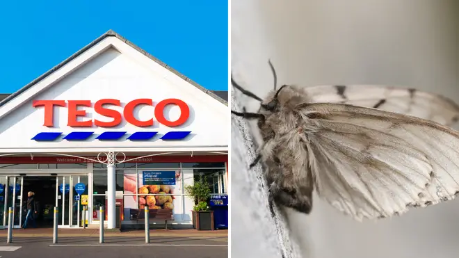 Tesco recalls Christmas stuffing mix as it may contain moths