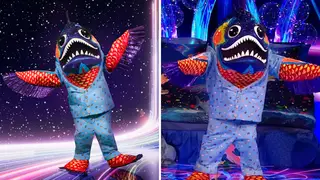 Piranha is on The Masked Singer