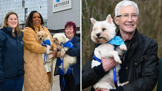 Alison Hammond will step-in to host For The Love Of Dogs following the death of Paul O'Grady