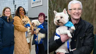 Alison Hammond will step-in to host For The Love Of Dogs following the death of Paul O'Grady
