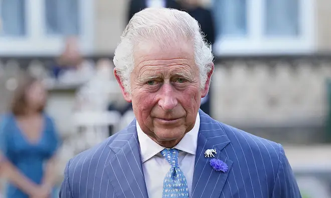 King Charles wearing blue stripe suit