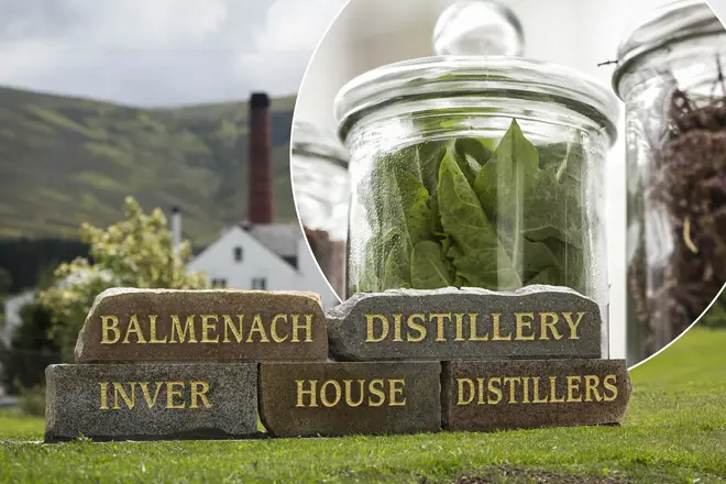 Everything you need to know about this Caorunn Gin tour