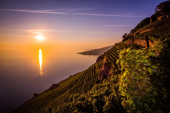 Lavaux vineyards, outside the city of Lausanne