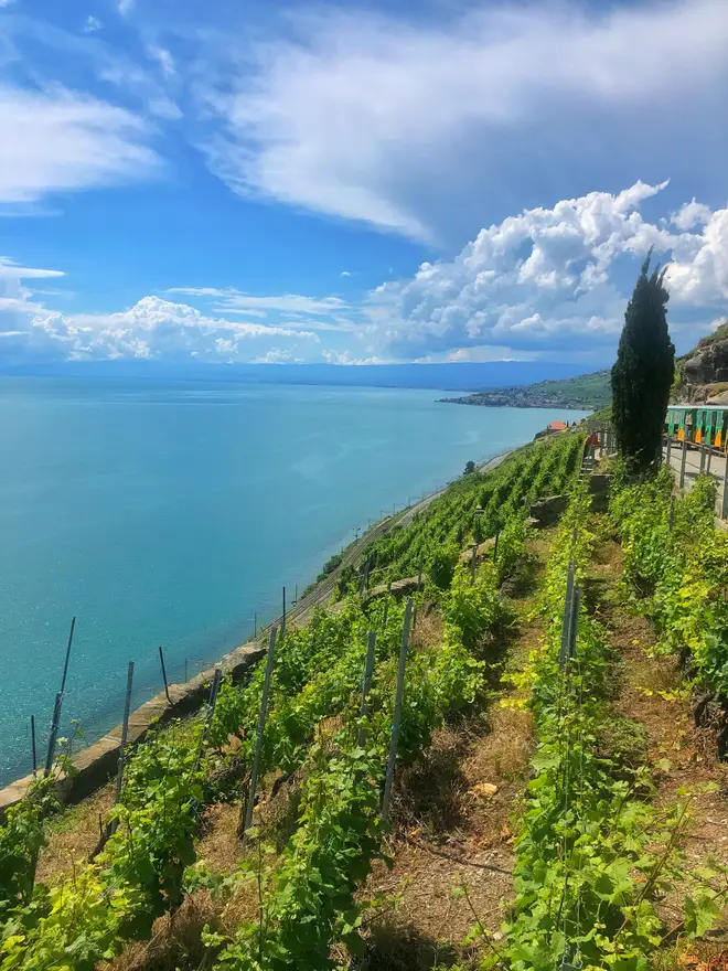 A ride on the Lavaux Express includes a stop for photos and a cheeky glass of local wine at the midway point