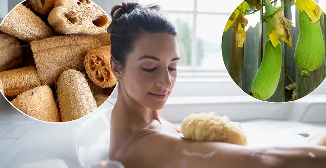 People are just finding out what a loofah is made of