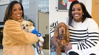 Alison Hammond is the new host of For the Love of Dogs