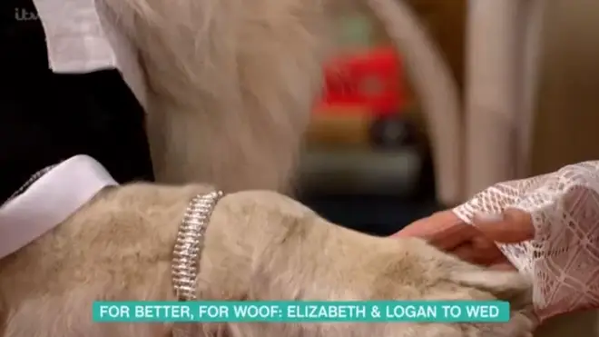 Elizabeth gave her pooch a diamond bracelet instead of a ring
