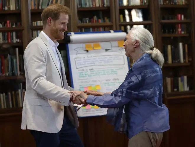 Prince Harry's interview was with Dr Jane Goodall