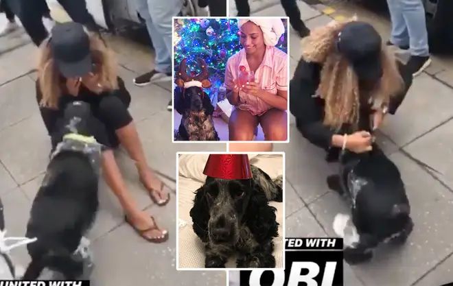 Amber Gill was left in tears as her dog Obi ran to greet her