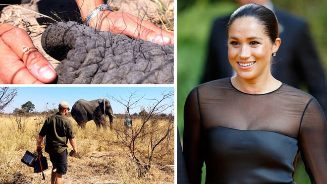 Meghan Markle used the bracelet to connect with the elephants spiritually