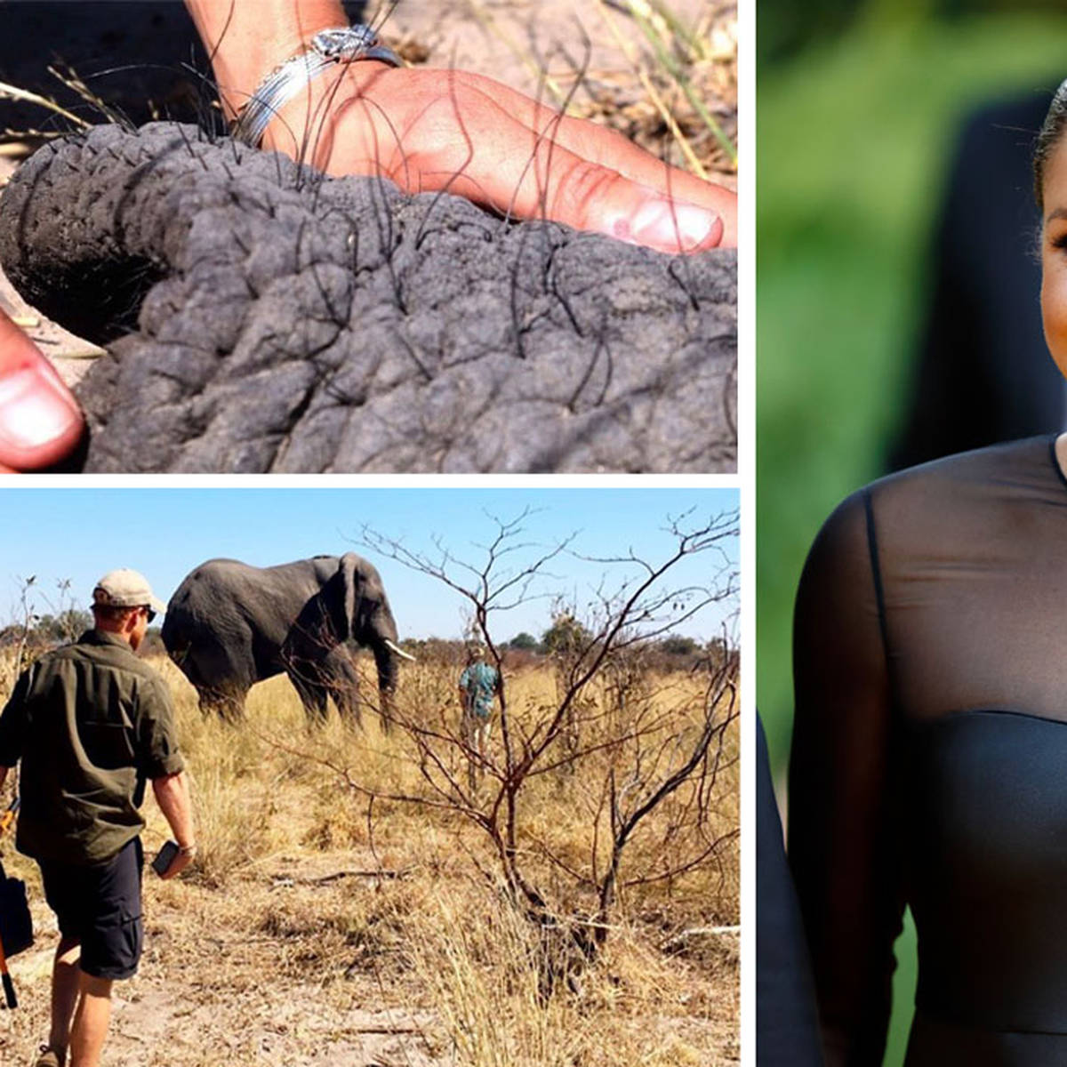The meaning behind Meghan Markle's elephant hair bracelet explained as she  celebrates... - Heart