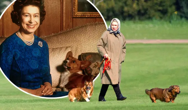The Queen makes sure her corgis are treated to the best