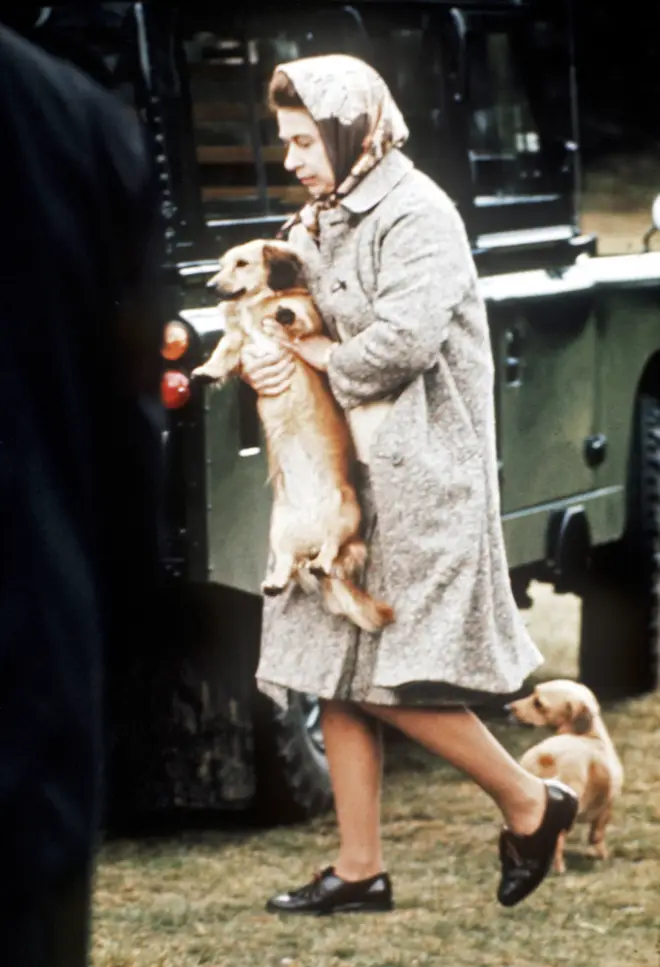 The Queen has always loved corgis, treating them to nothing but the best
