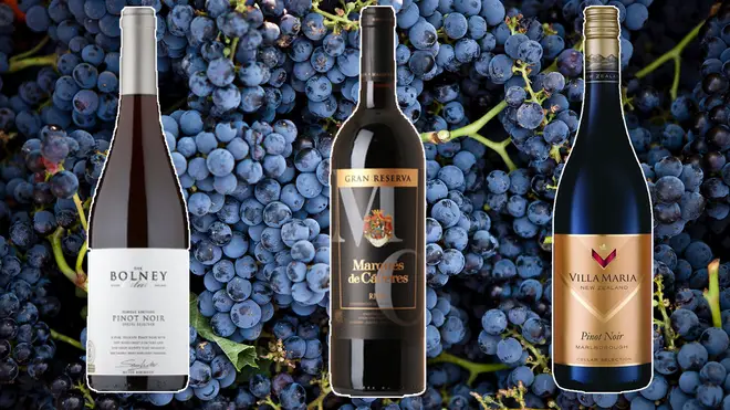 These fruity reds are all under £20
