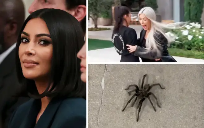 Kim has been struck by spider season as well, but on a MUCH grander scale