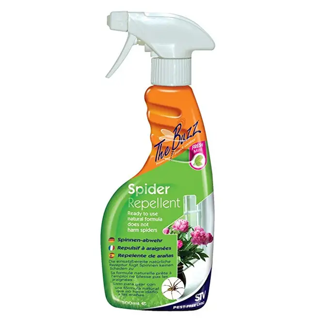 The Buzz's Spider Repellent is an absolute steal at 99p from the high street store