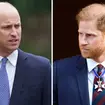 Prince William has apparently declined to meet with Prince Harry