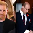 Prince Harry discussed his ongoing feud with his brother at the WellChild Awards 2025.