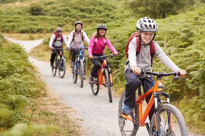 The New Forest is mostly flat, making it an easy cycle for the whole family