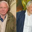 David Attenborough is preparing to celebrate his 100th birthday