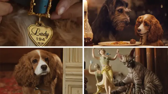 Lady and The Tramp, the remake, will be available from Disney+ next month