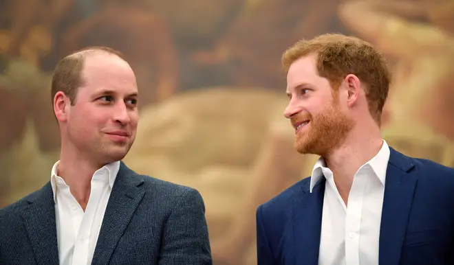 In the documentary, Prince Harry admitted to some sort of fallout with his brother