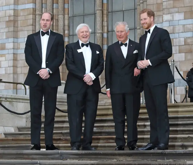Prince Charles, Prince William and Prince Harry attended the premiere for Our Planet back in April