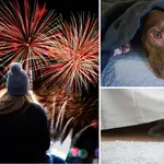 Here's how to protect your pets this fireworks night