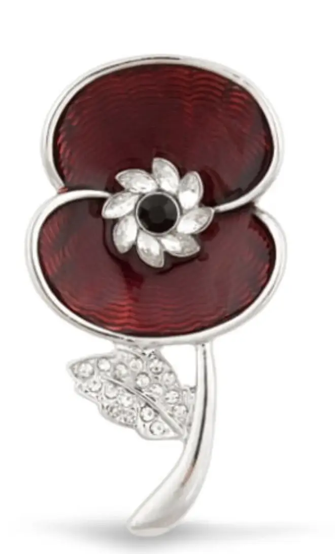 The stunning brooch is available for £29.99